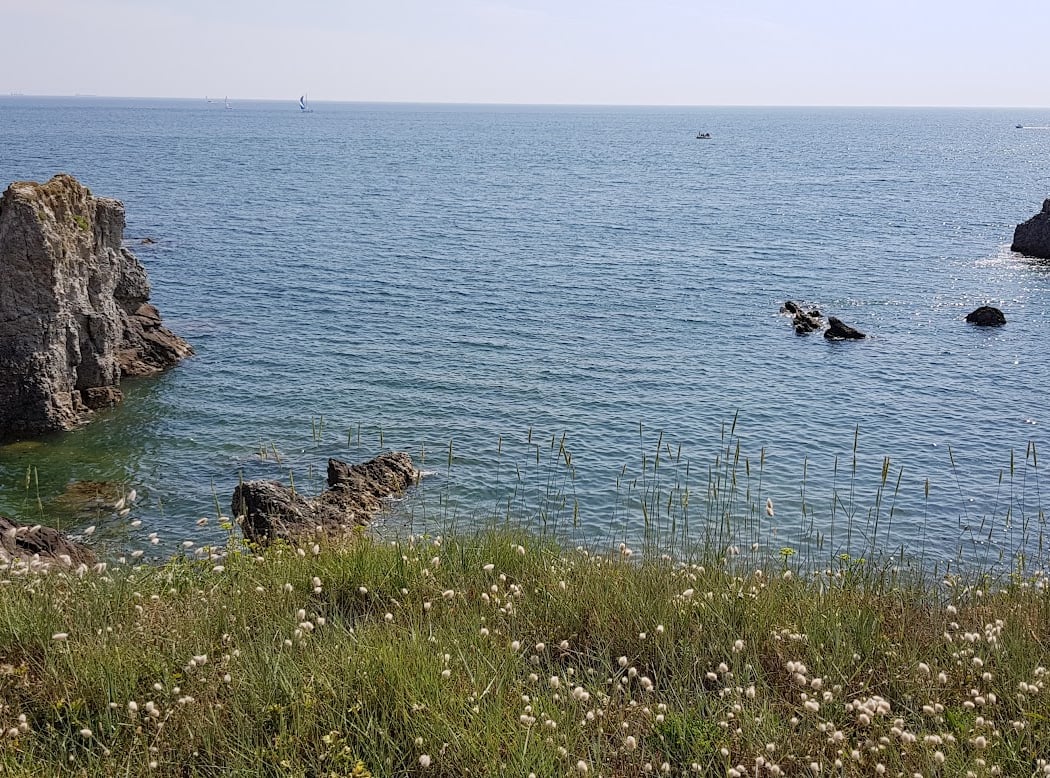 Plage du Pavillon 2