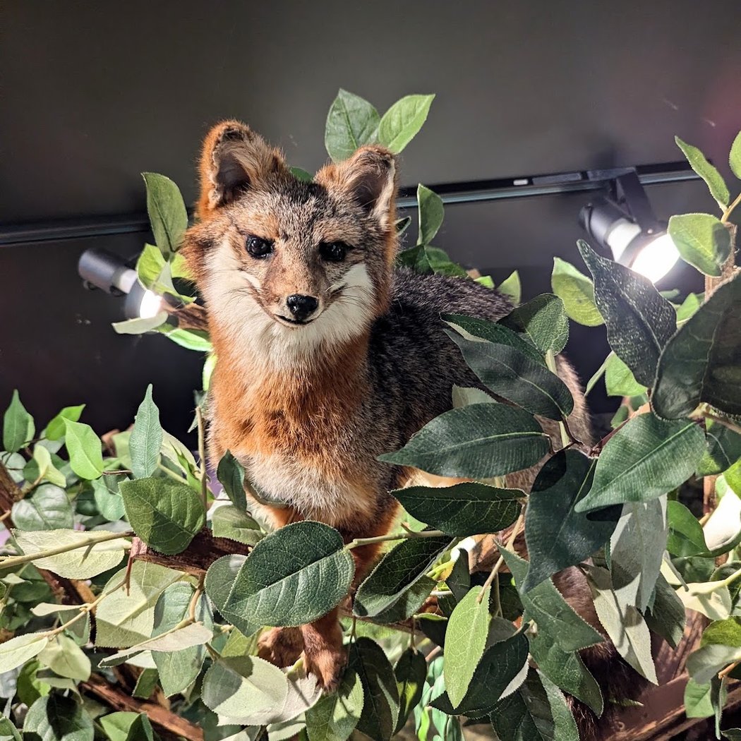Steele Creek Nature Center 2