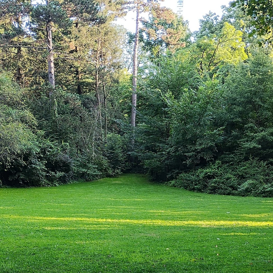 NYC Parks 1