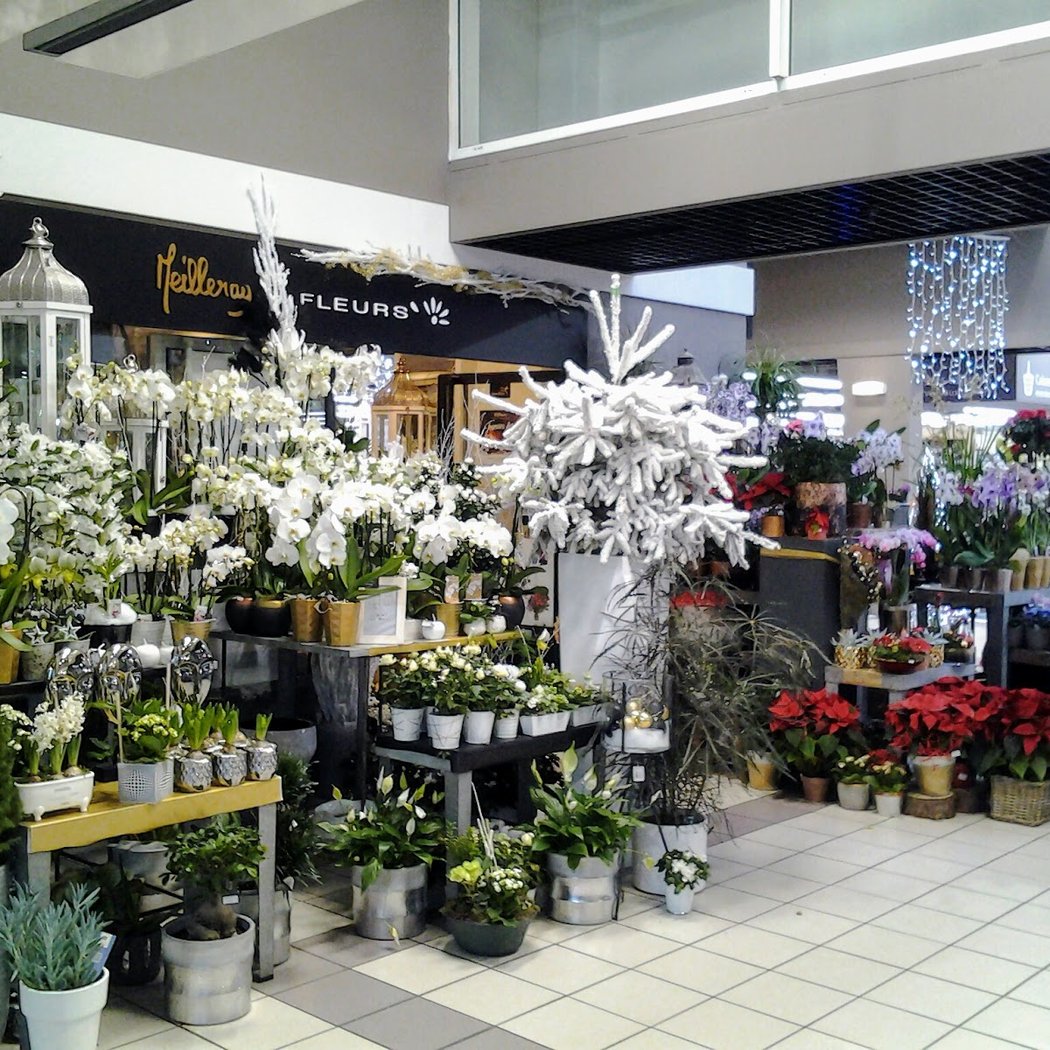 Meilleray Fleurs 2