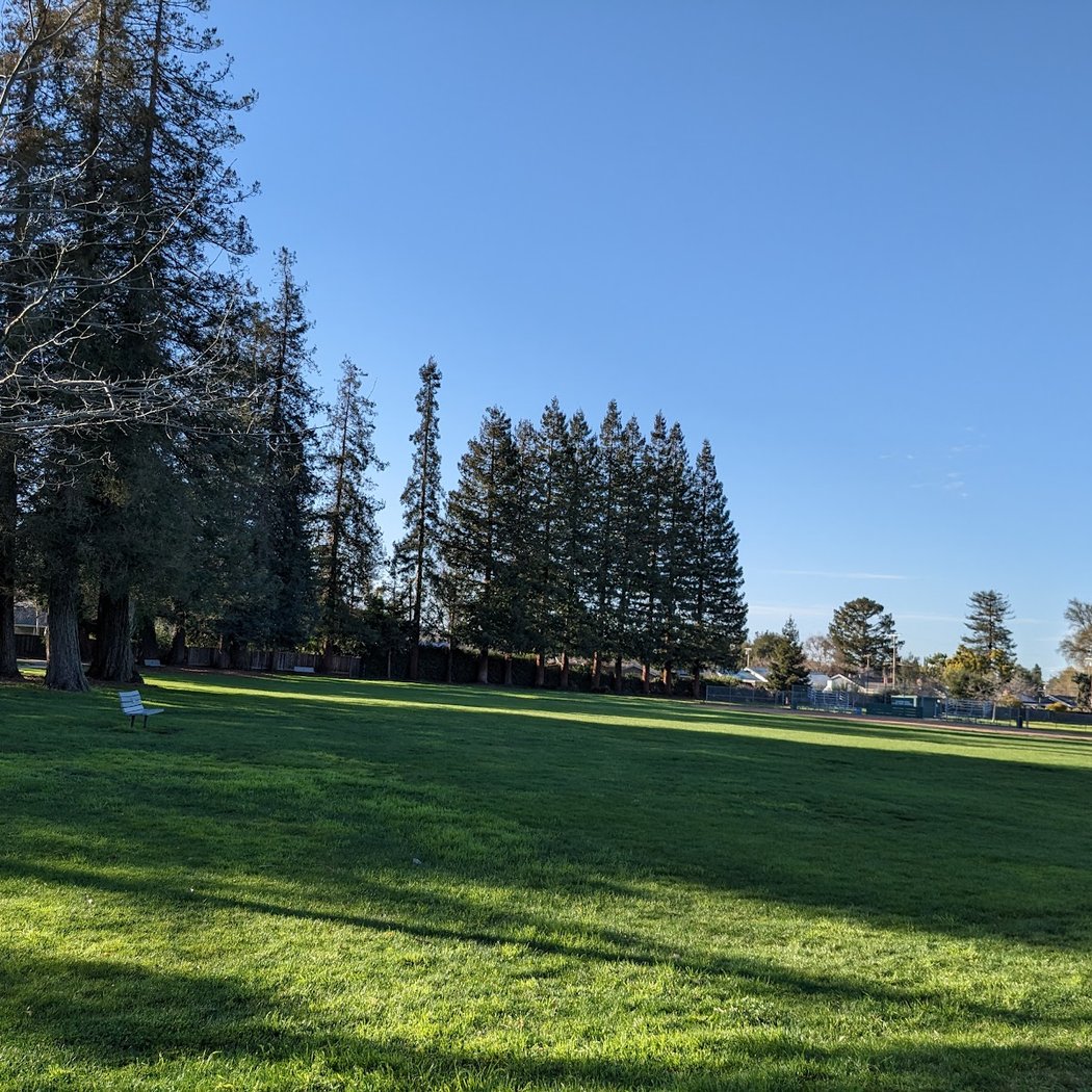 Cooper Park 2