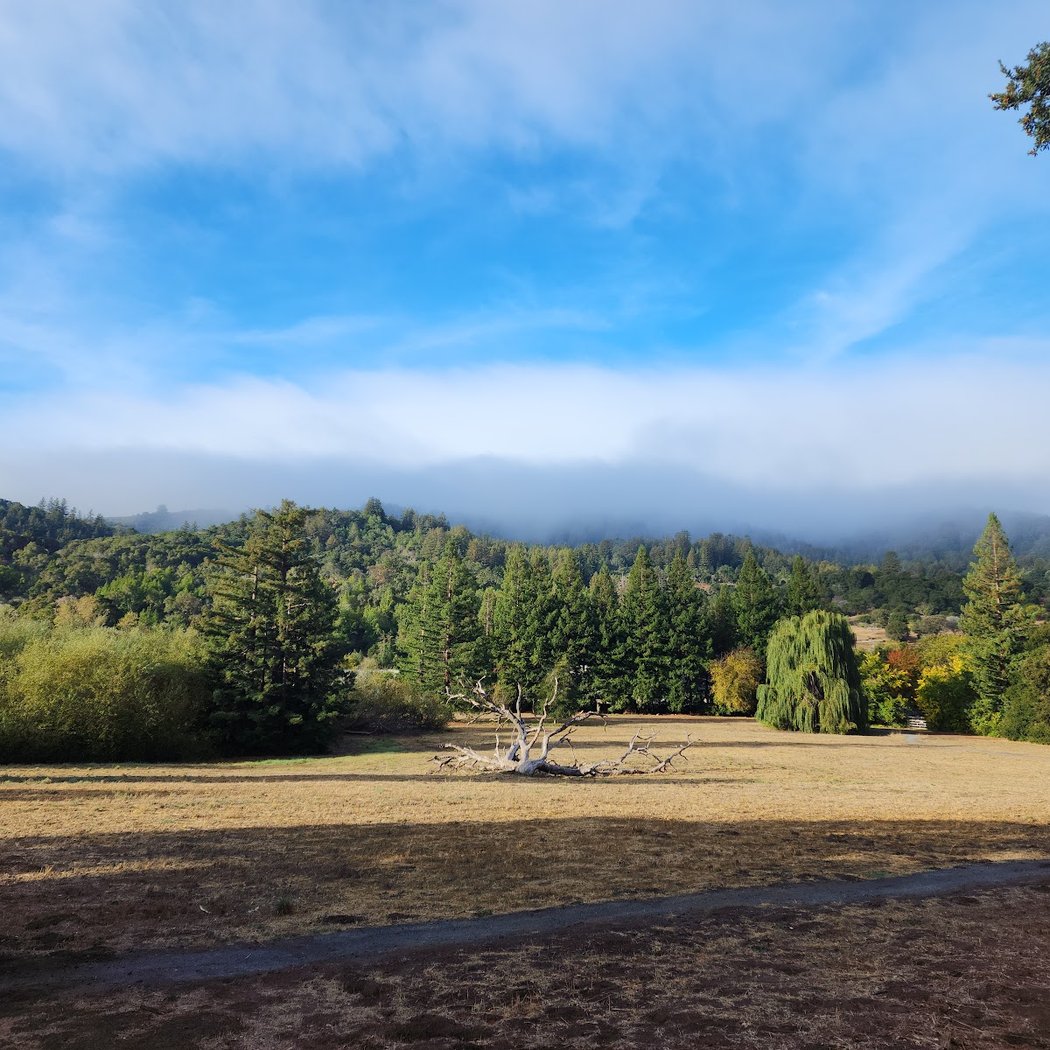 Hike cohosted by Dartmouth alumni 2
