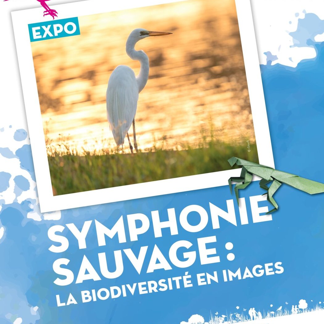 Symphonie sauvage : la biodiversité en images 1