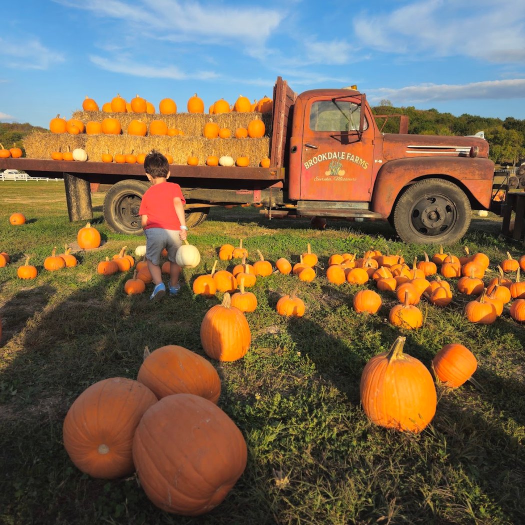 Brookdale Farms 1