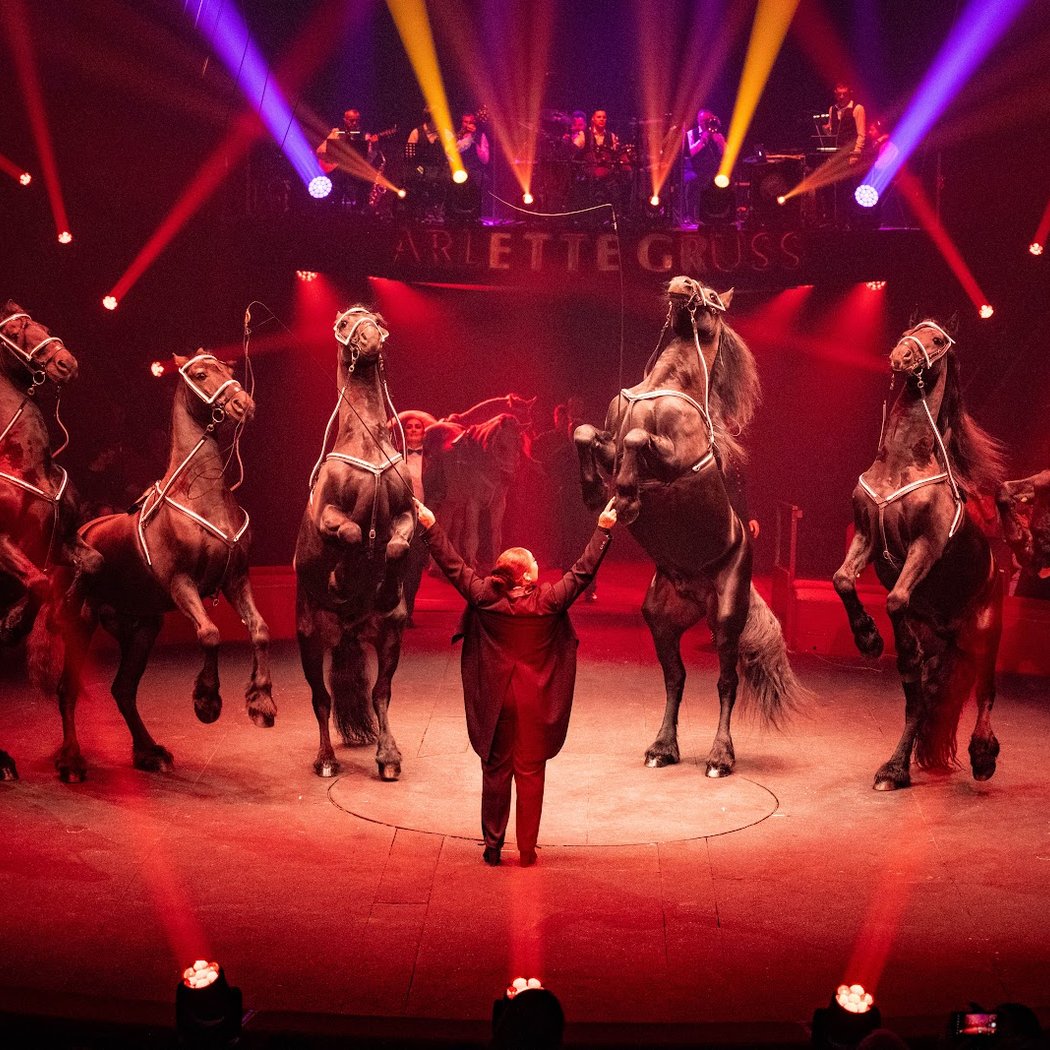Cirque Arlette Gruss 1