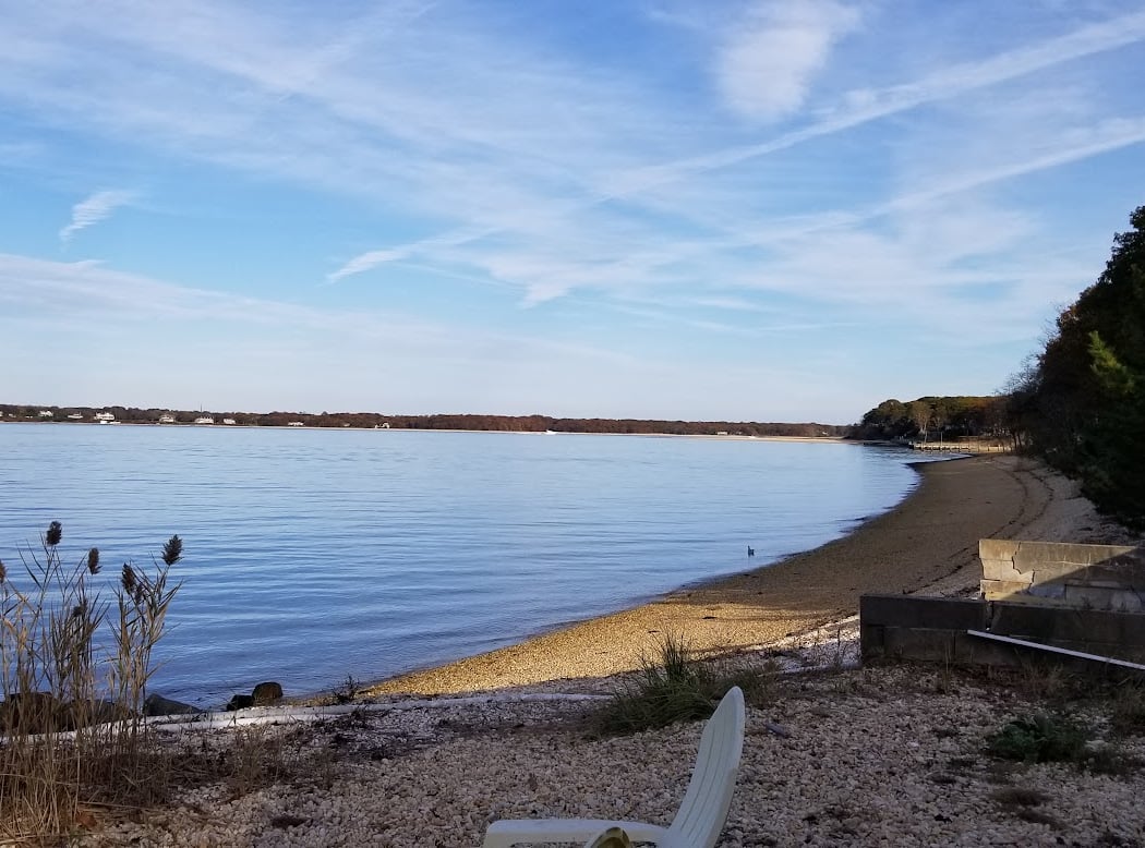 Southold Bay Oysters 2