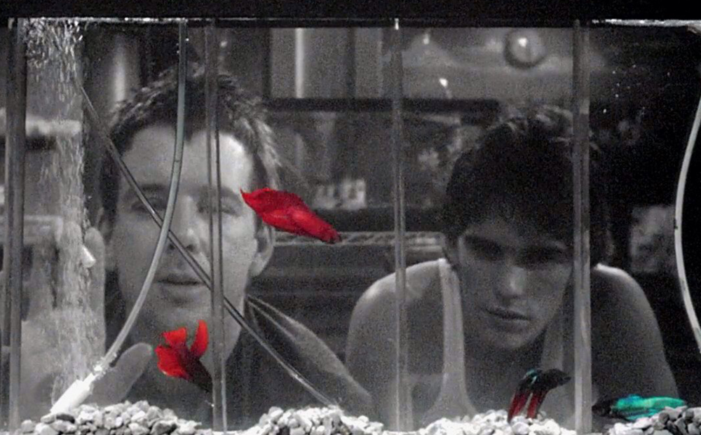 RUMBLE FISH