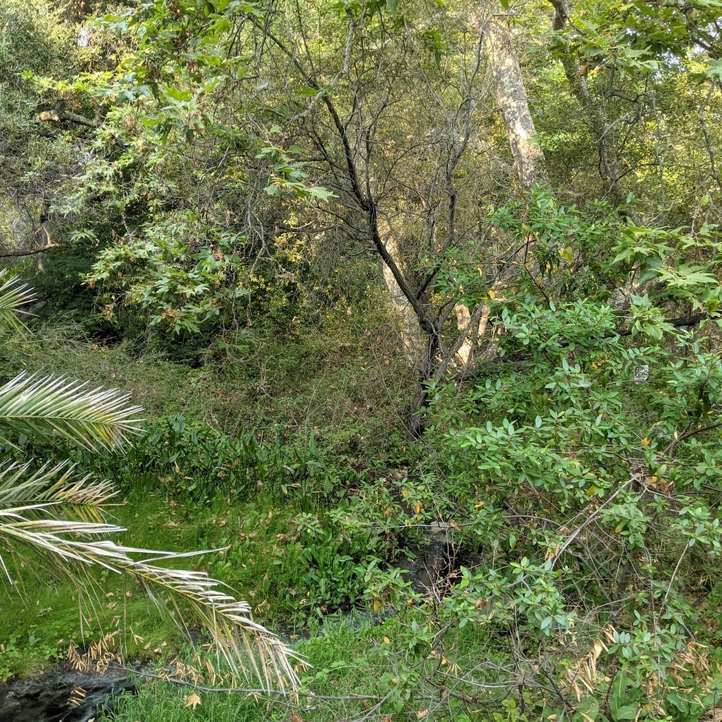 Gaviota Hot Springs 3
