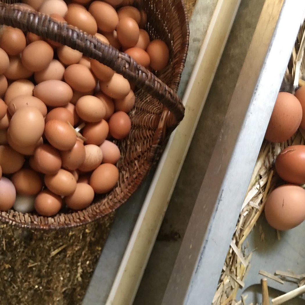 La Ferme de Novelle. Céline Pacaud et Christophe Jusseau. 2