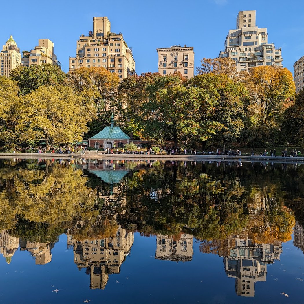 Knights Battle in Central Park 5