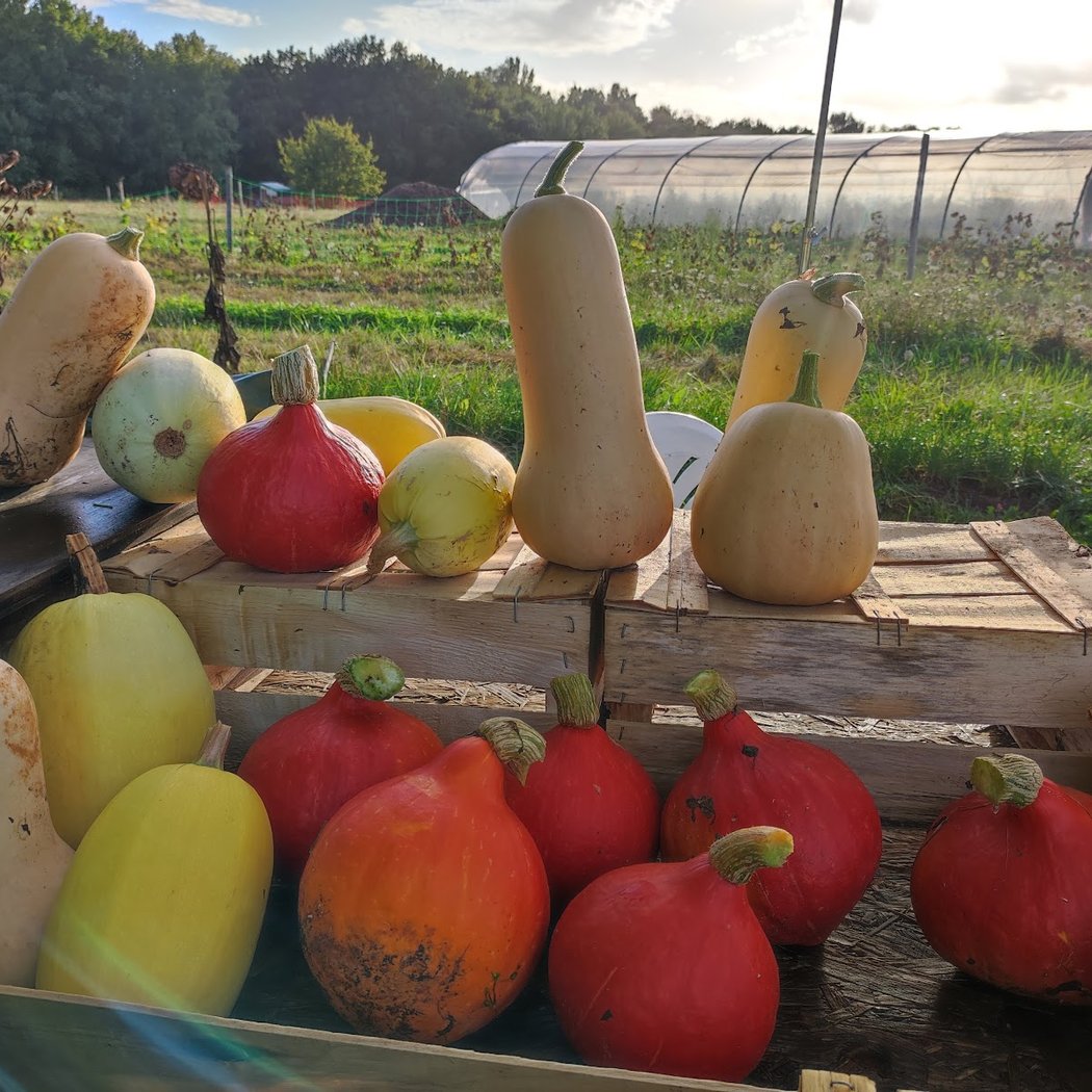 Ferme du Bois des Anses 1