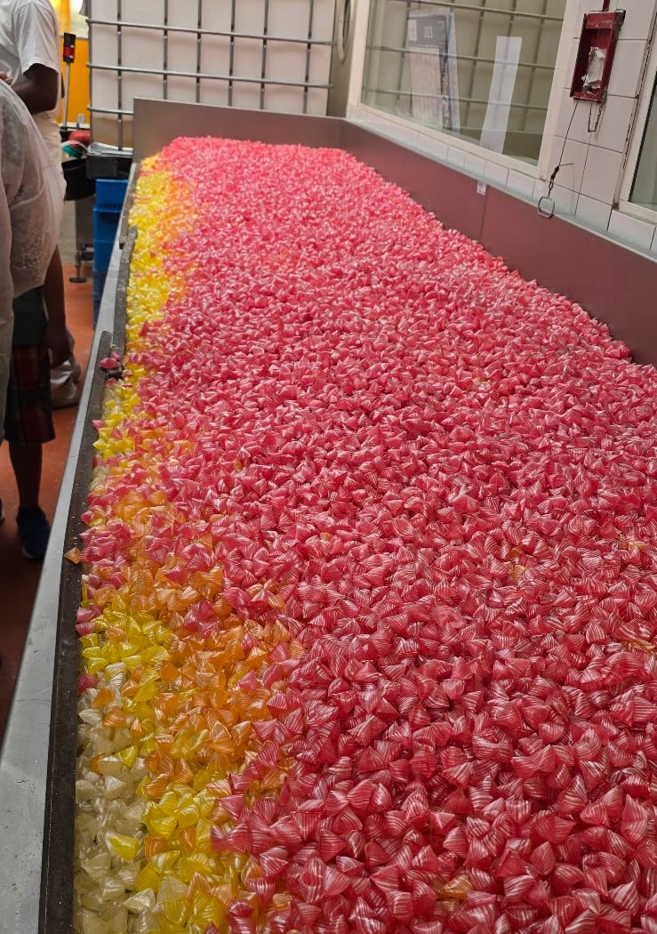 Visite Guidée d'une Confiserie et Déjeuner Bistronomique 1