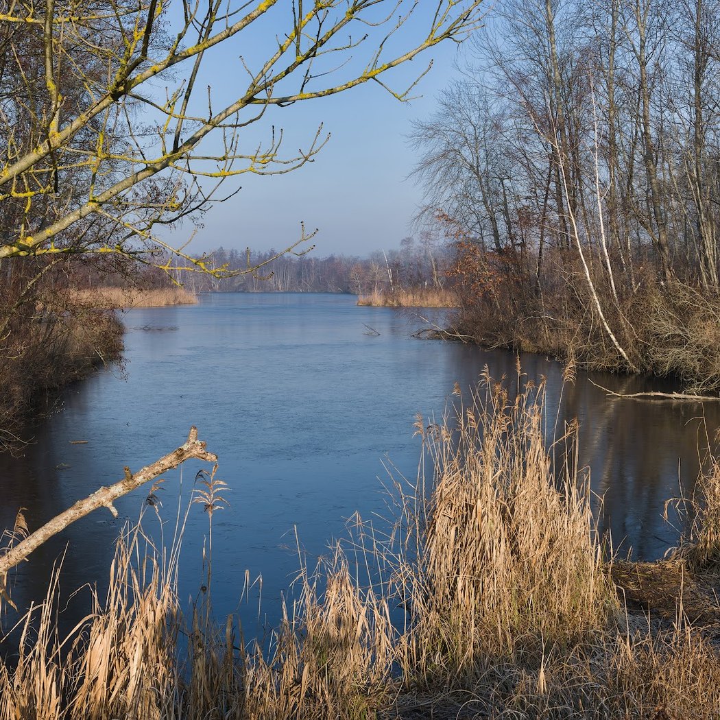 Marais de Fontenay 2