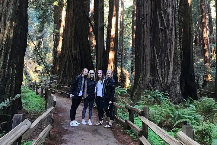 San Francisco & Muir Woods Full Day Small Group Private Tour 3