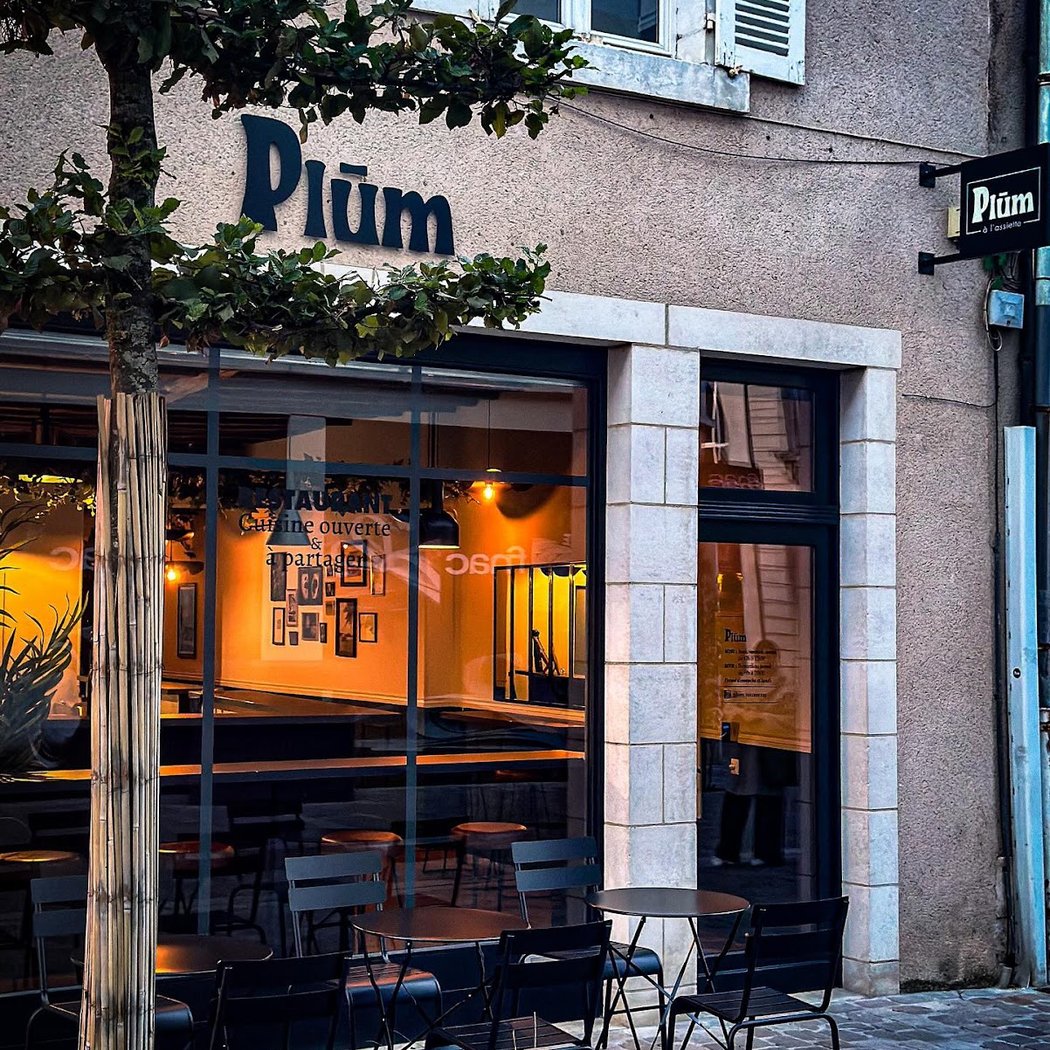 PLUM 2
