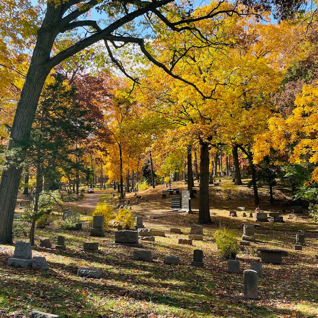 Walking Tour: Forest Hill Cemetery
