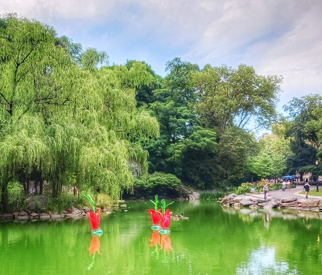 Living Laboratory: Morningside Pond 1
