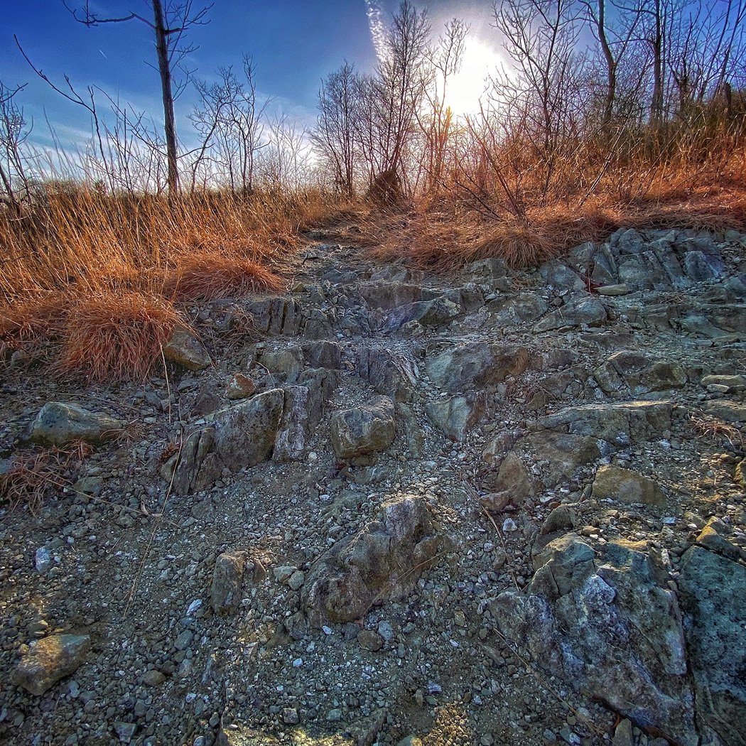 Serpentine Commons 3