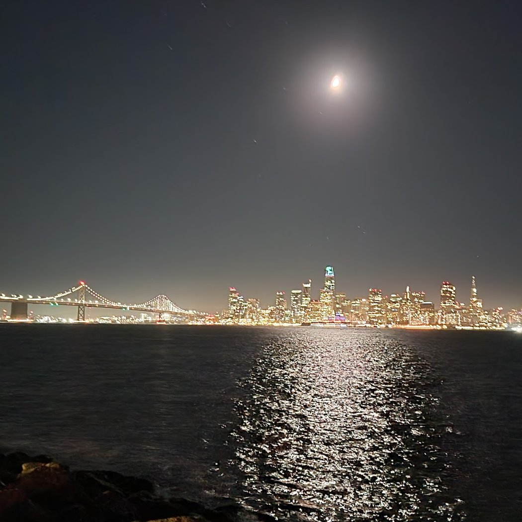 Treasure Island Dog Park 3