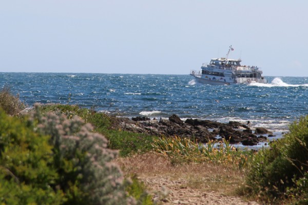 Île Sainte-Marguerite 3