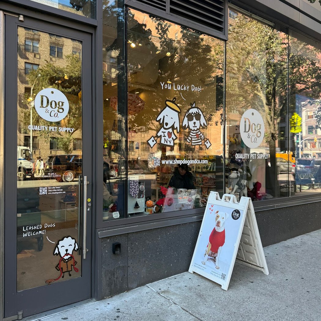 DOG & CO. 2