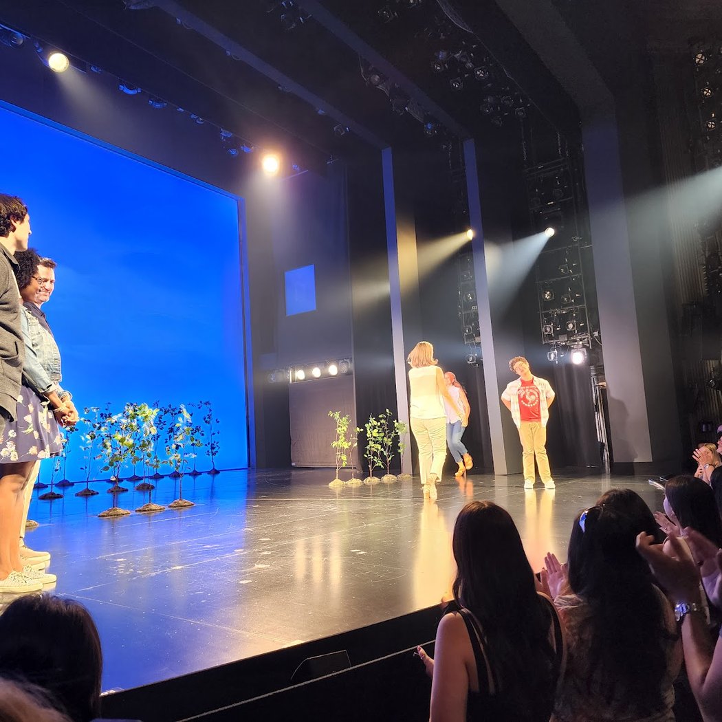 Broadway revival of Yasmina Reza's hit play 4