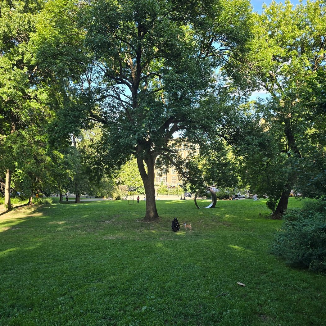 James Baldwin Lawn 1