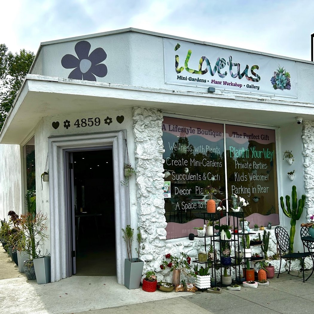 iLovetus Succulents 4