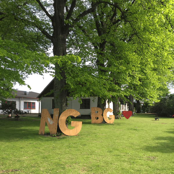 NGBG FÖRENING 2