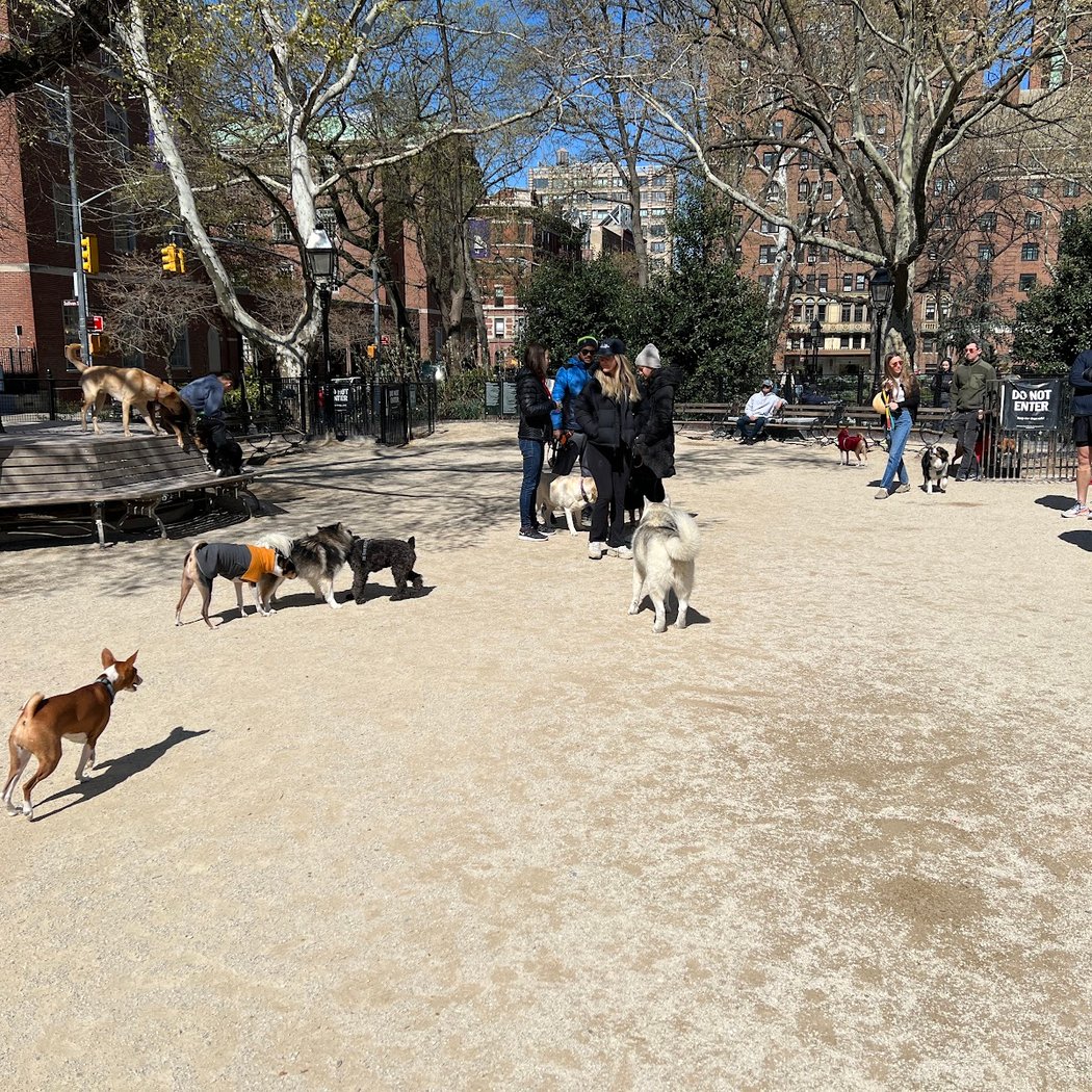 Washington Square Park Dog Run 2