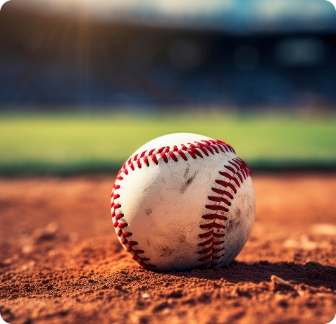 365 Baseball & Softball 2
