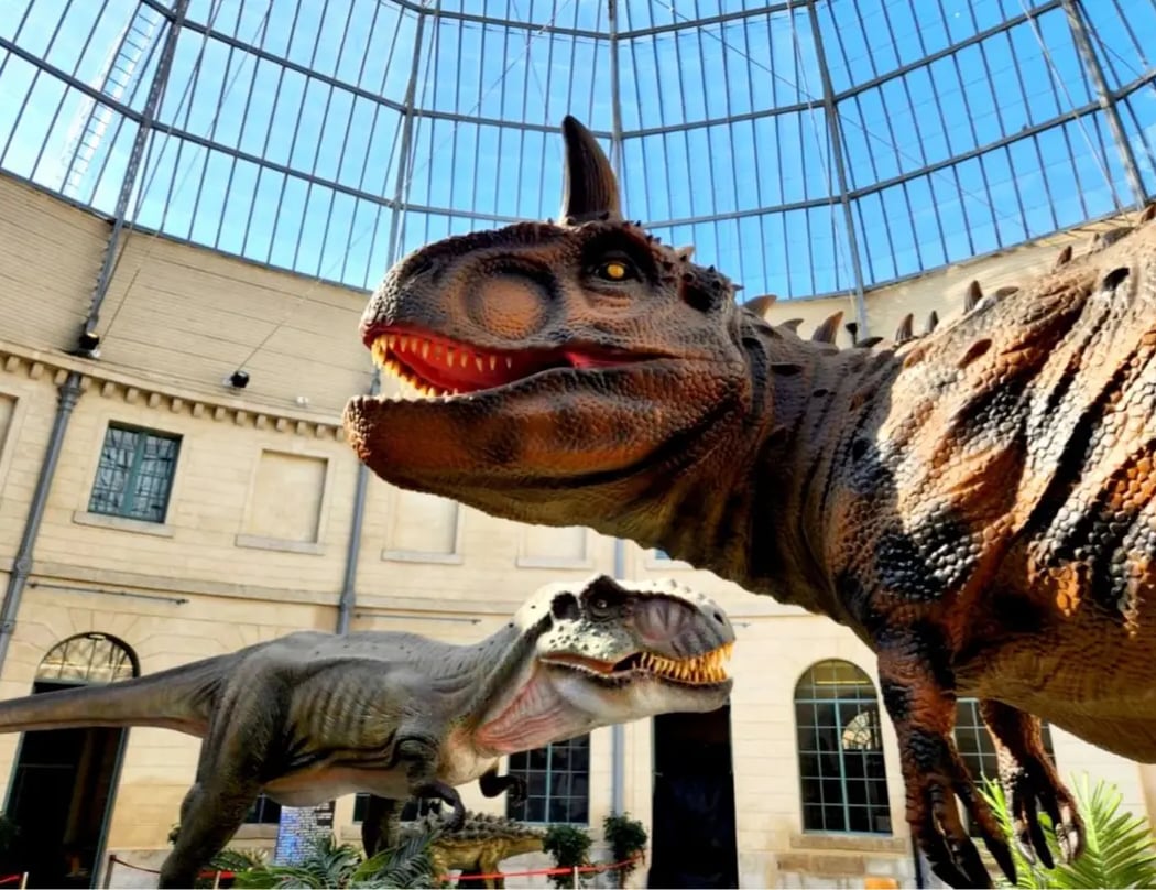 Exposition Dinosaures 1