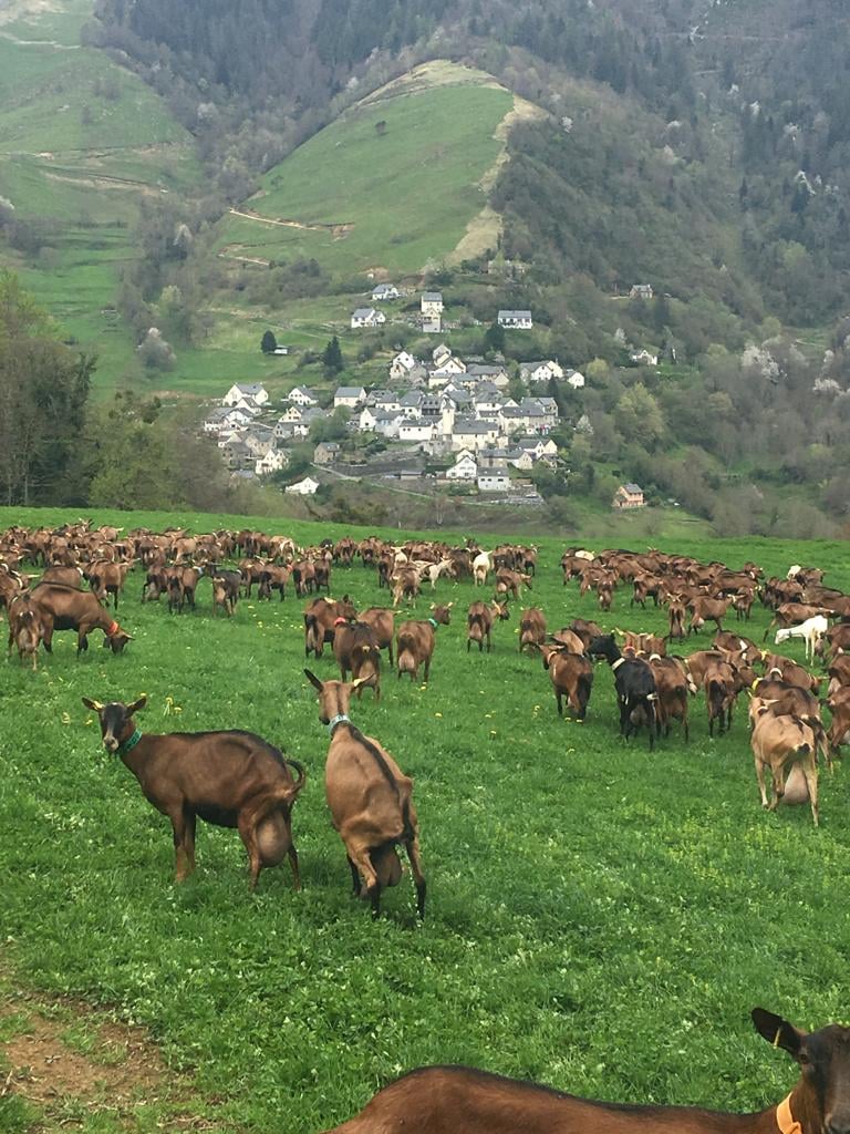 FERME DE LANSET 3