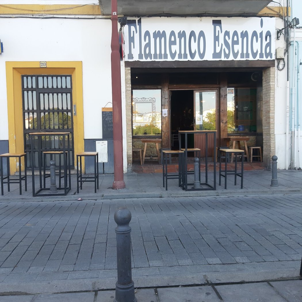Flamenco Esencia 3