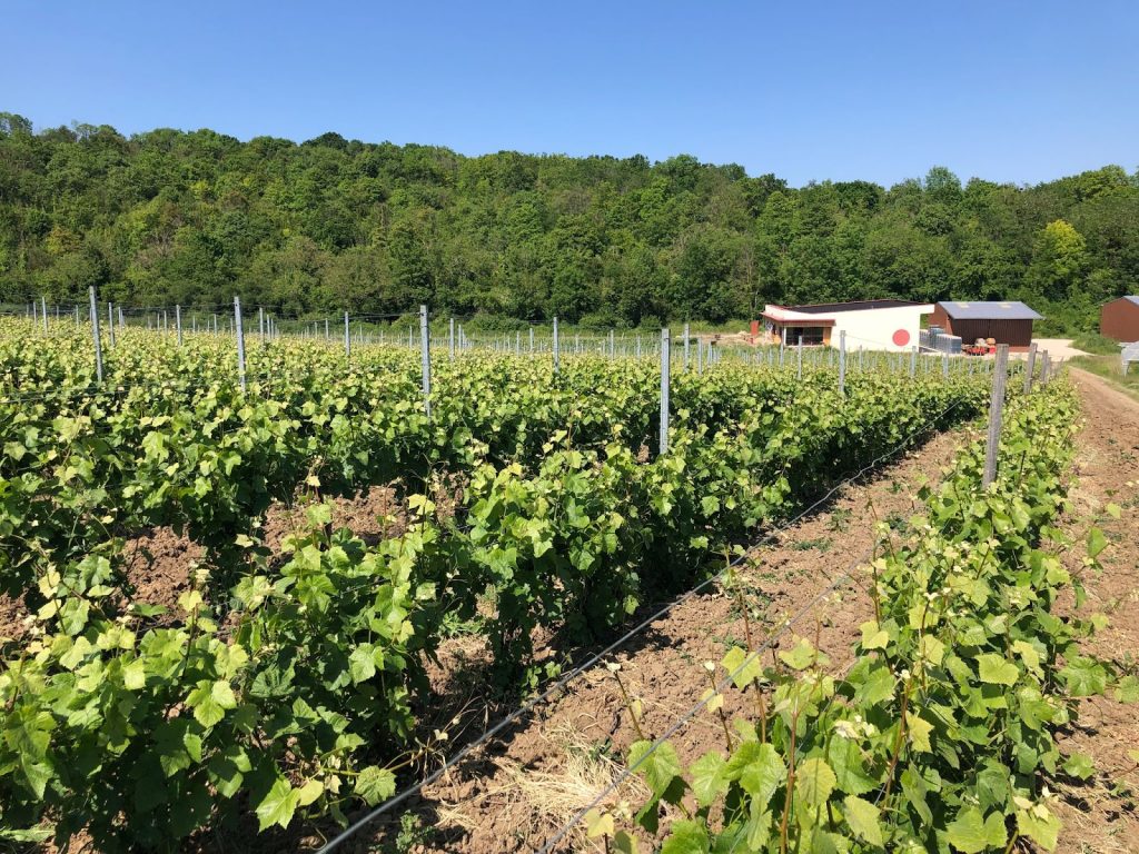 Les Coteaux du Montguichet 2