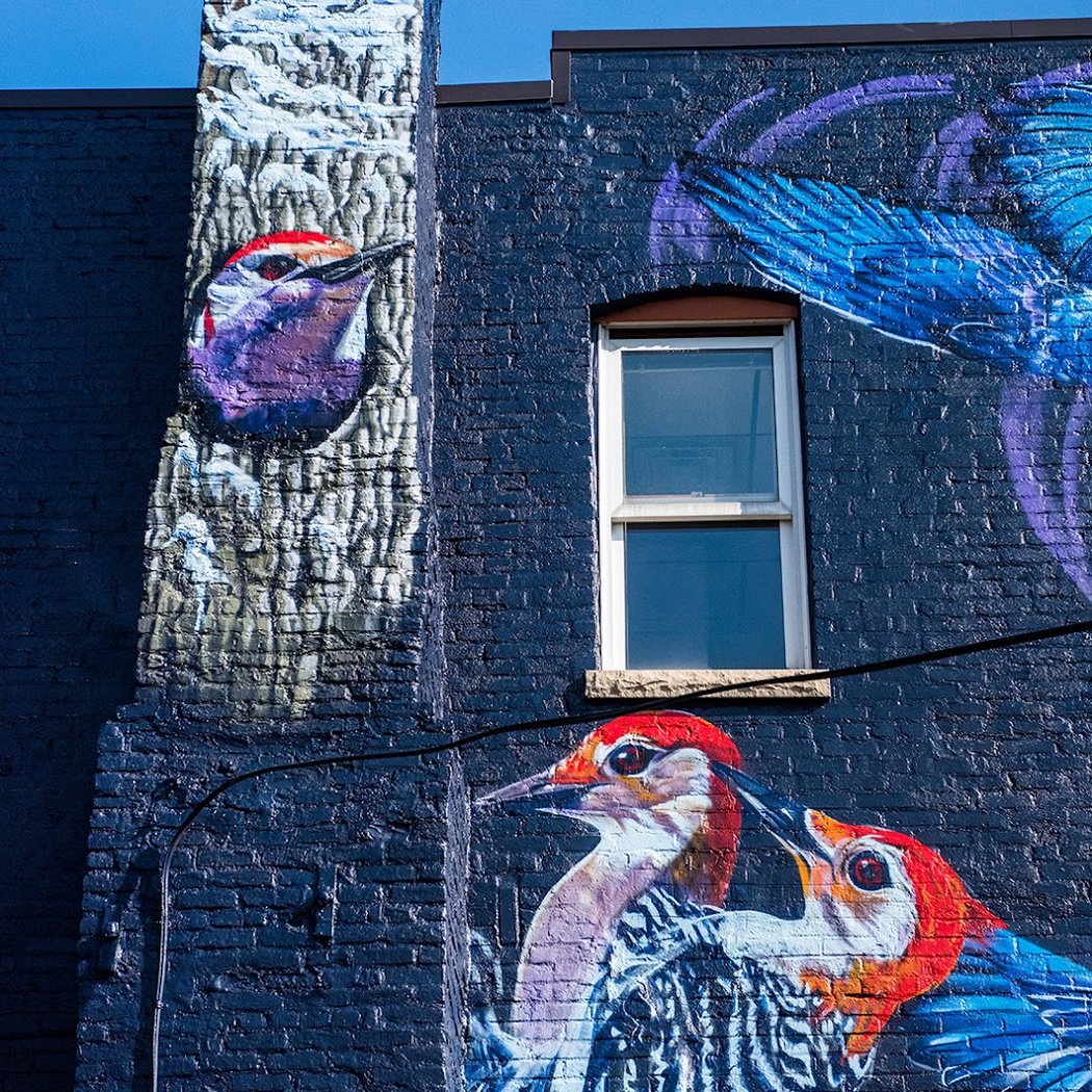 Jacob Dwyer Mural (A2AC Murals) 2
