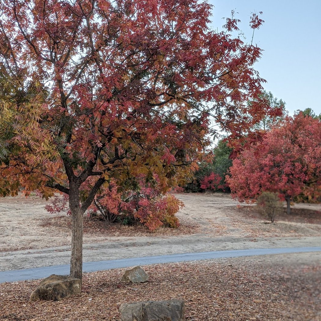 Las Juntas Open Space 3