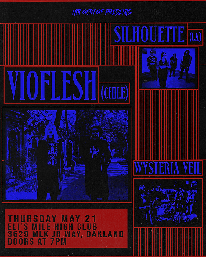 Hot Goth GF presents: VIOFLESH, SILHOUETTE, WYSTERIA VEI 1
