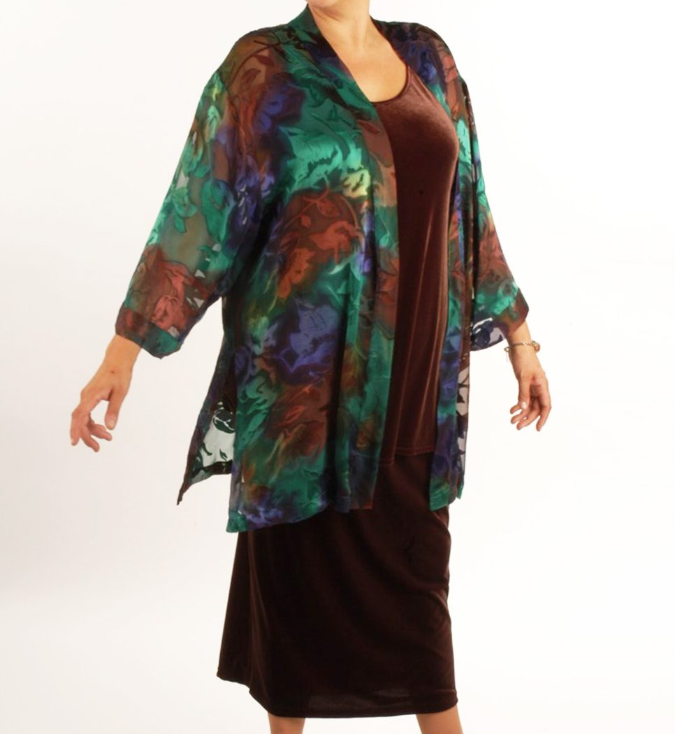 American Sewing Guild Monthly Presentations 1