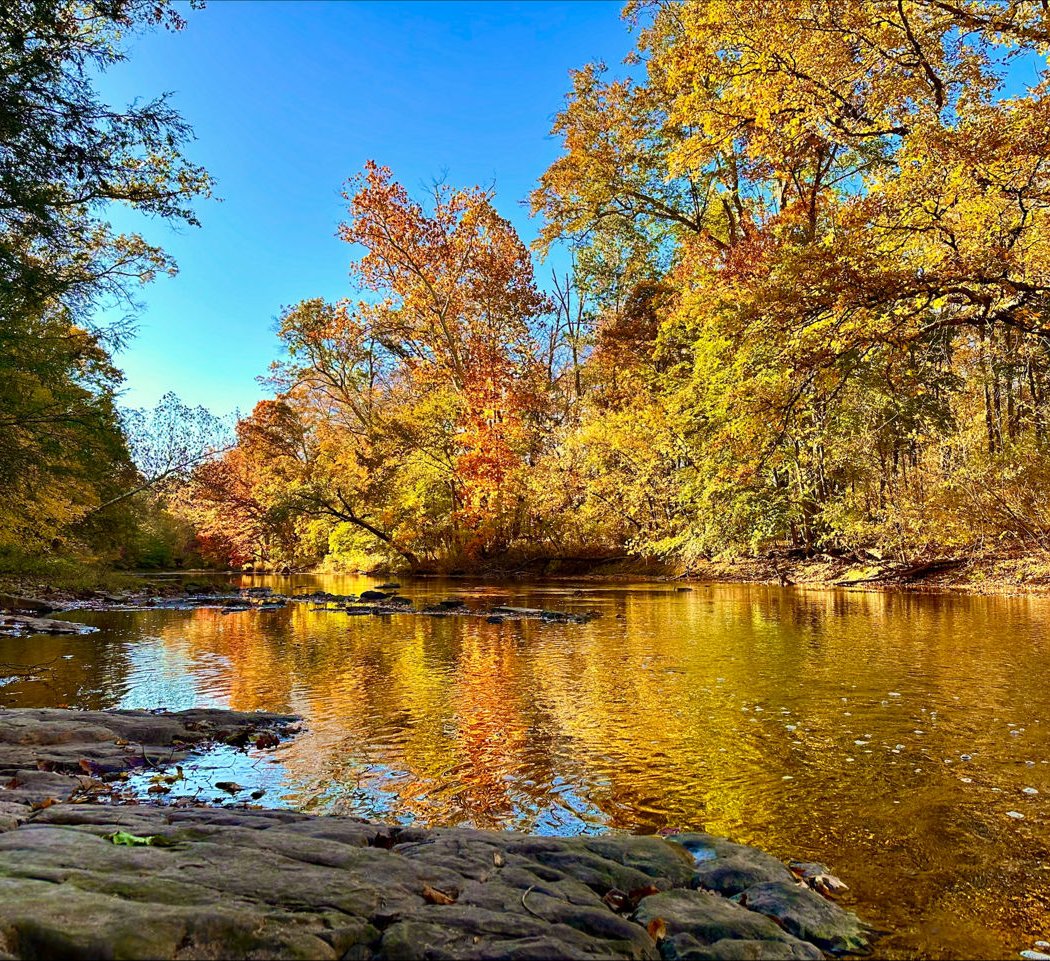 Skippack Creek Loop Hike 1