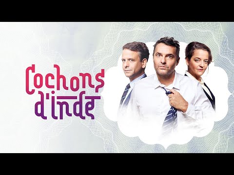 Cochons d’inde 4