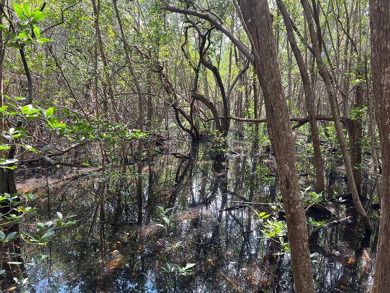 Guided Nature Walk at Secret Woods Nature Center 3