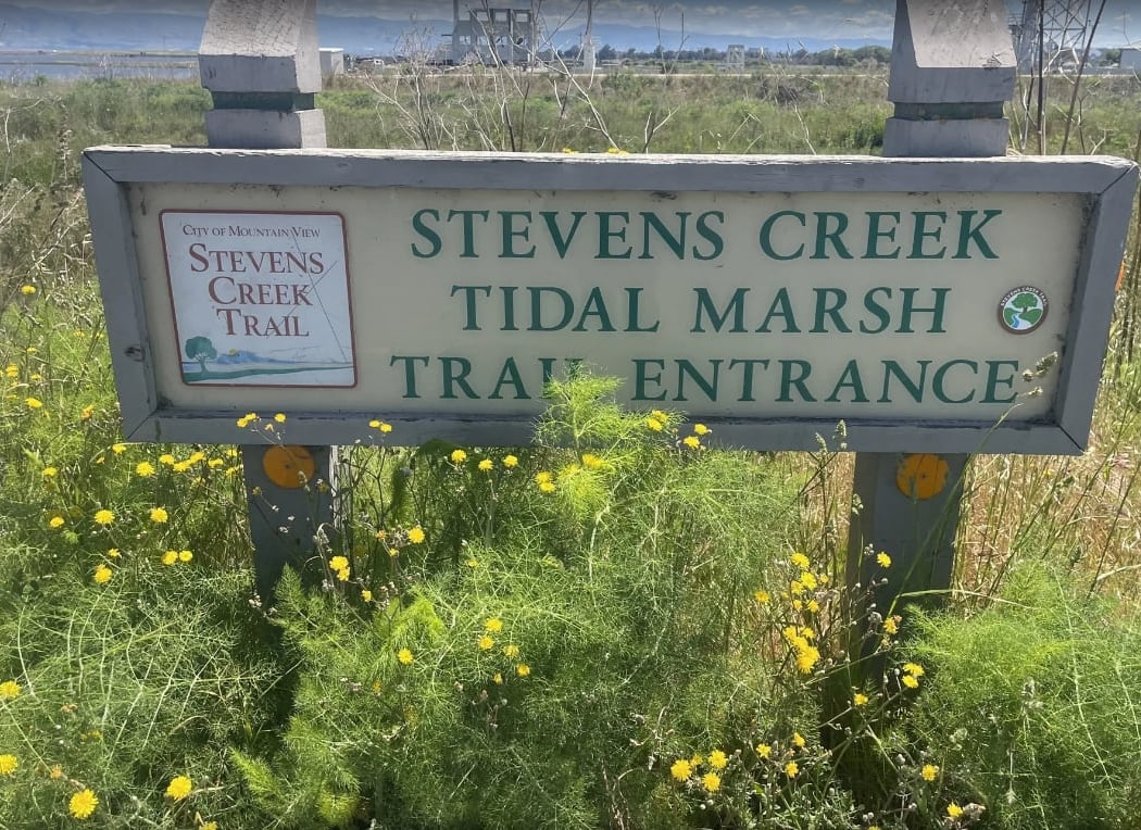 Stevens Creek Trail 2