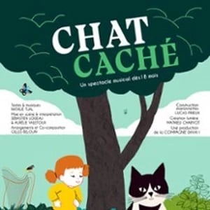 Chat Caché 1