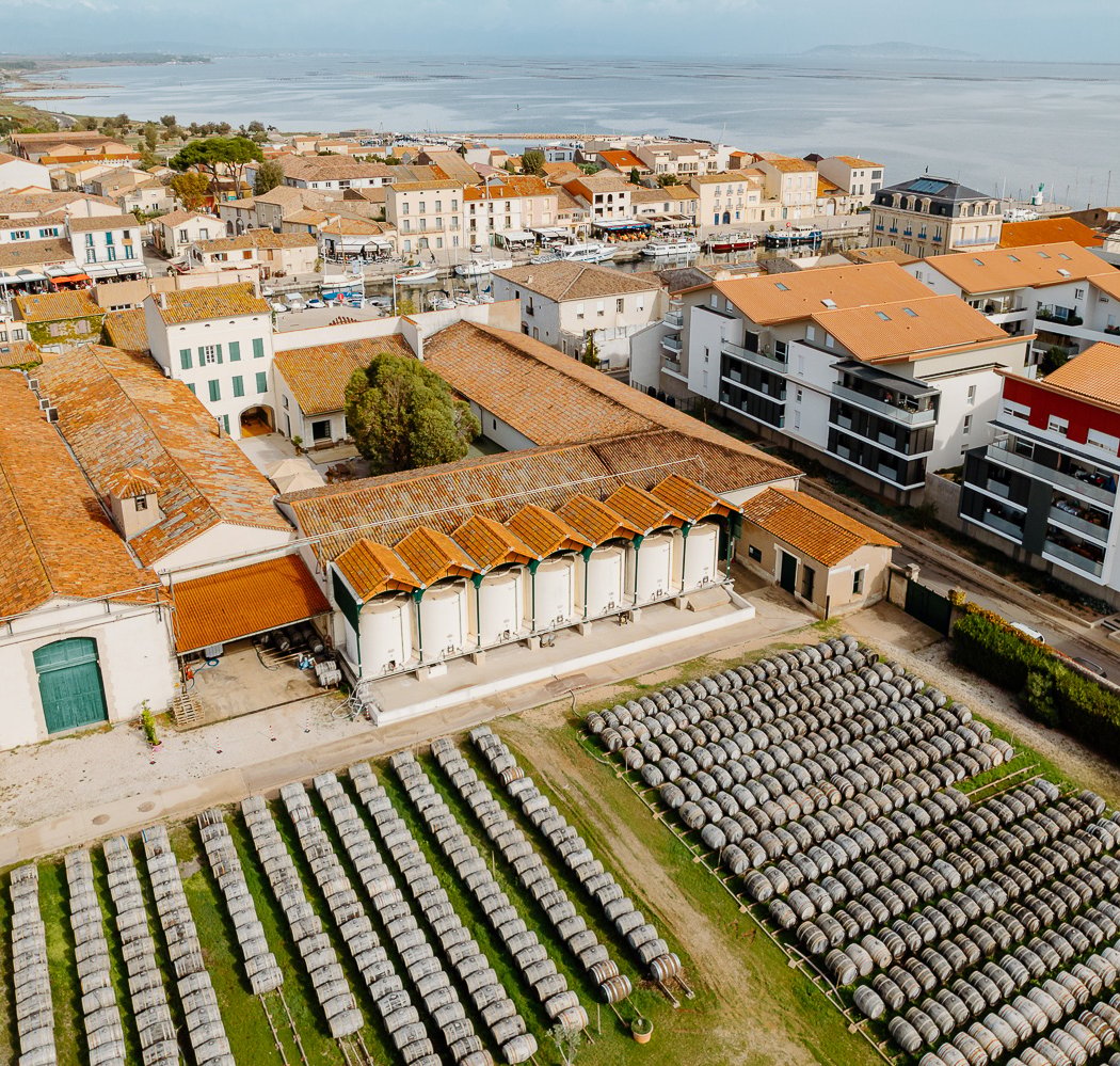 La Maison Noilly Prat - Musée - Bar - Boutique 3
