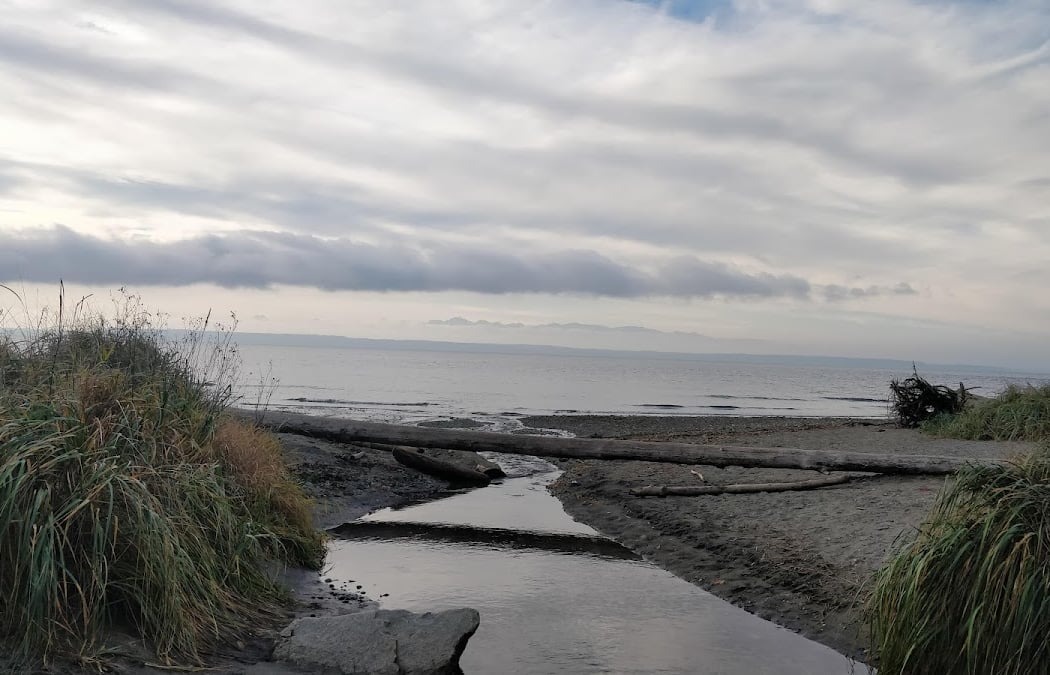 Low-Tide Exploration 2