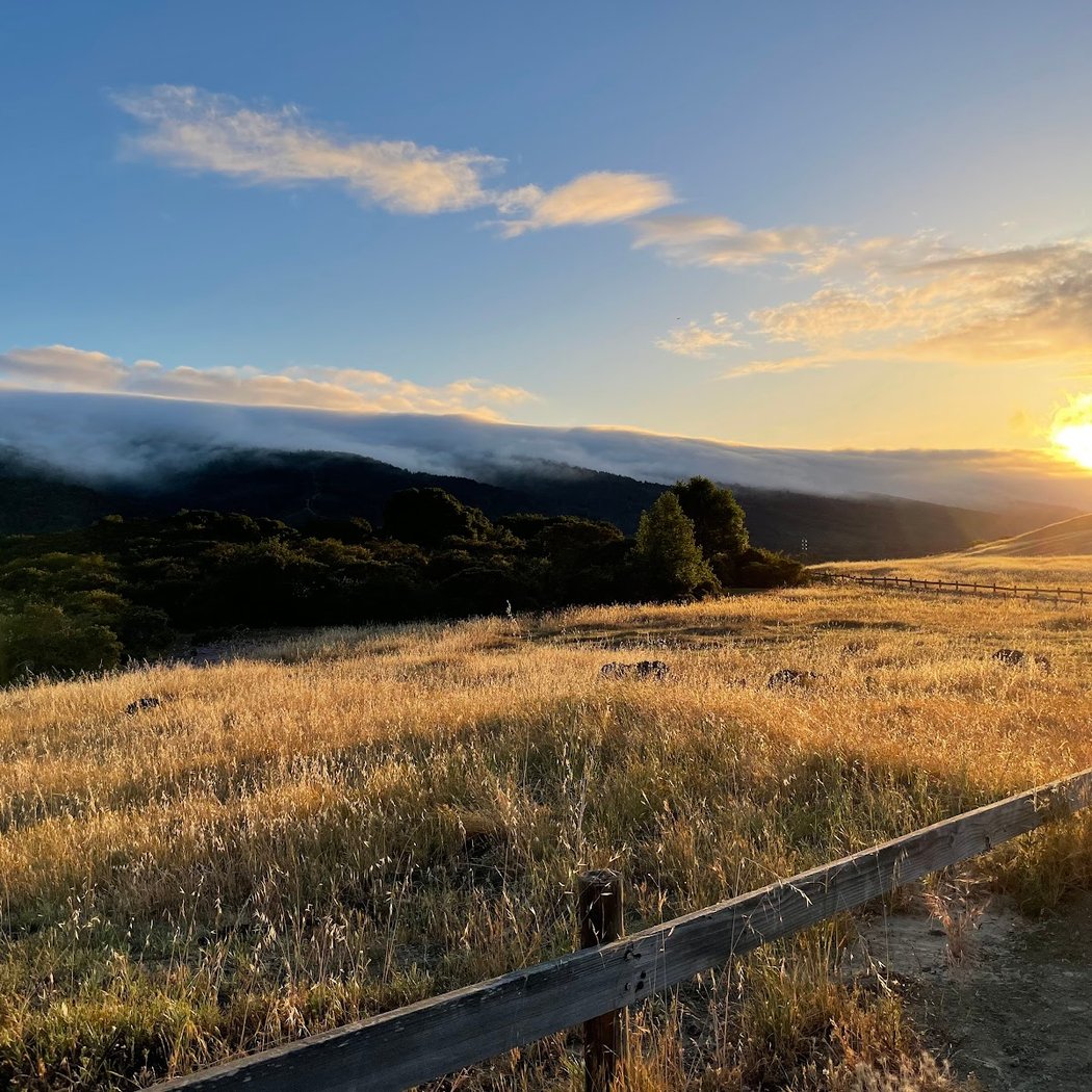 Vista Point | Edgewood Park 1
