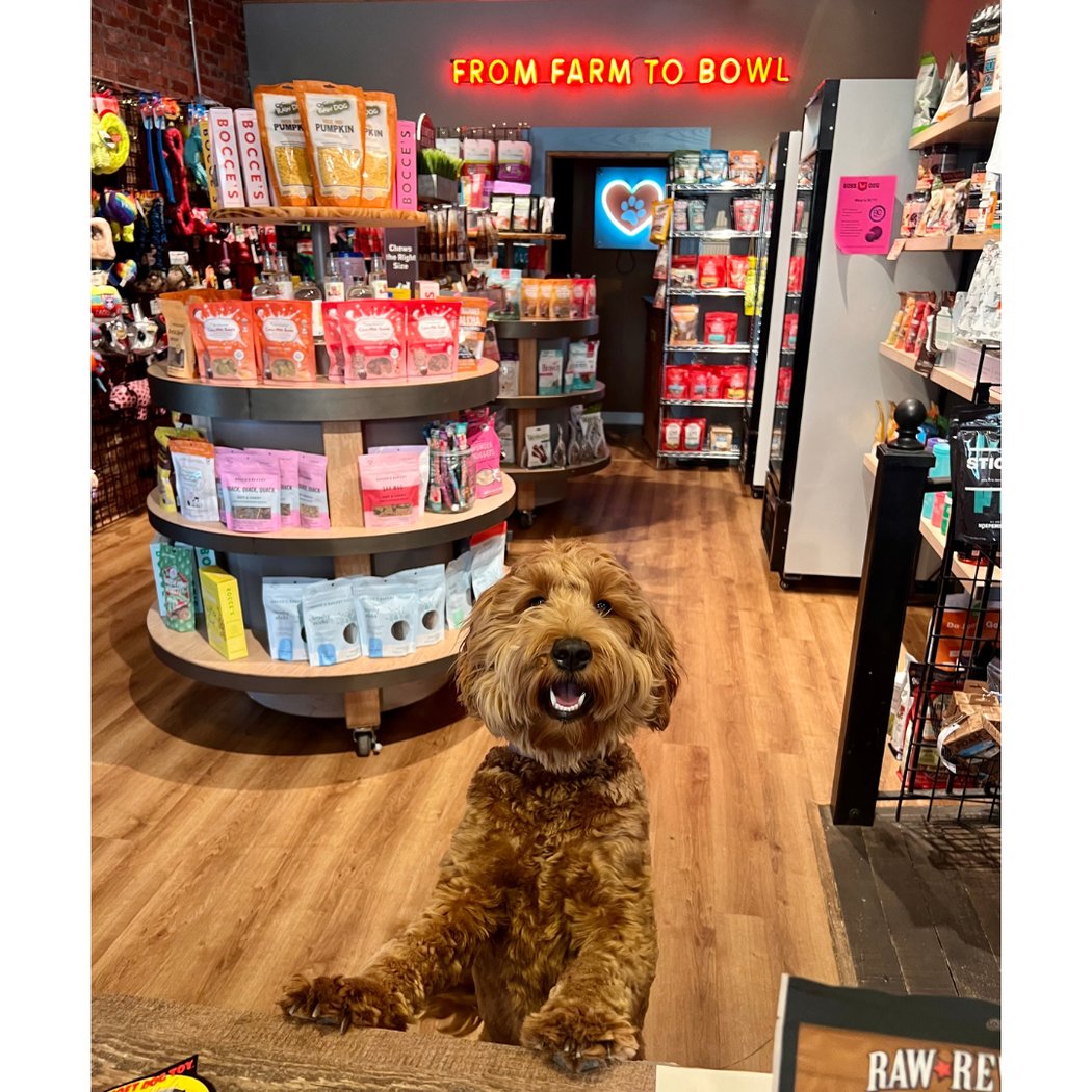L&B Healthy Pet Markets 1