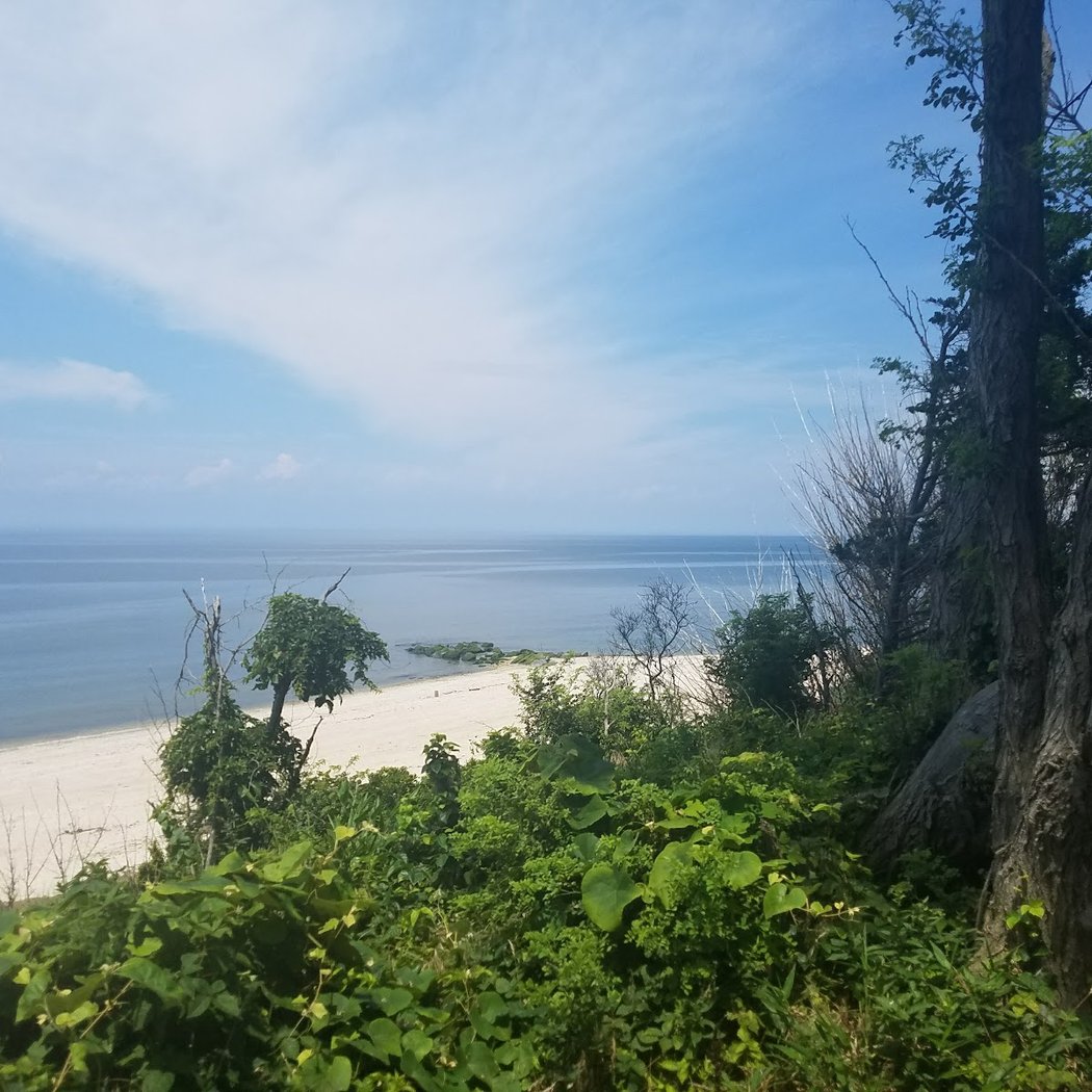 Hallock State Park Preserve 3