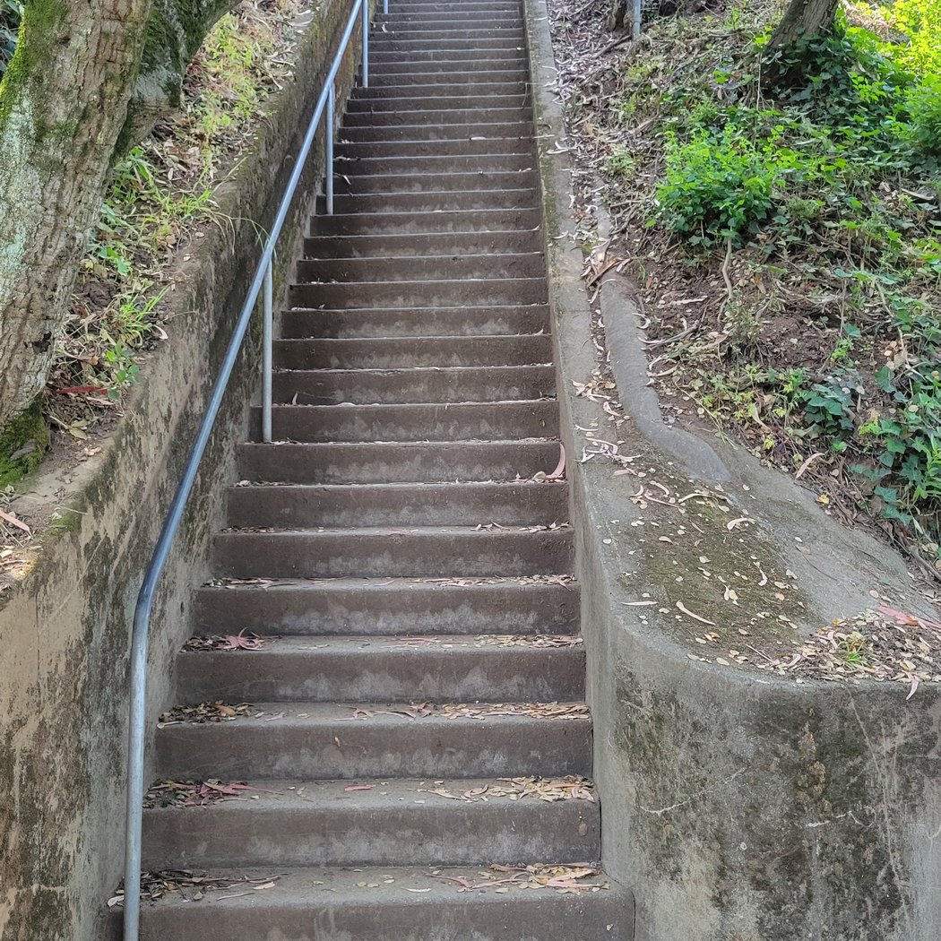 Arden Steps 1